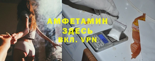 стаф Дмитровск