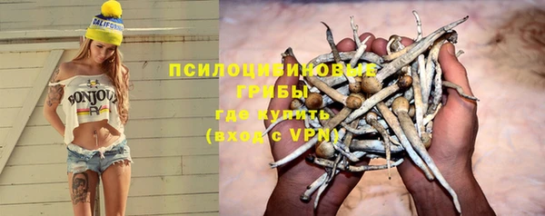меф Осташков