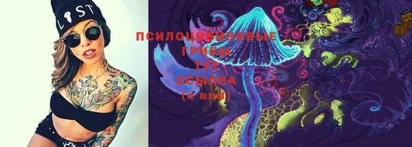 стаф Ленск