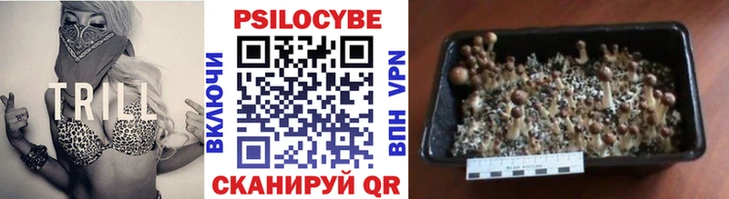 Галлюциногенные грибы Cubensis  Сальск 