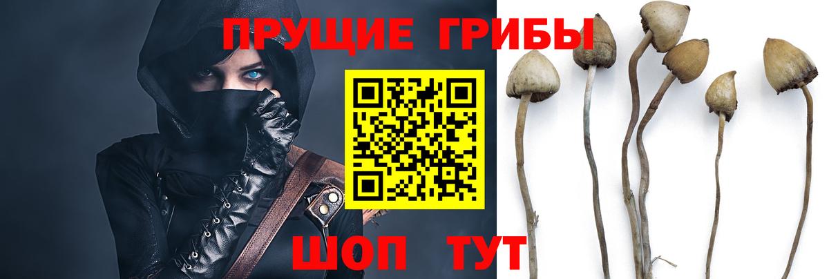Галлюциногенные грибы Psilocybe  Галлюциногенные грибы Magic Shrooms  Вход с VPN  Сальск 